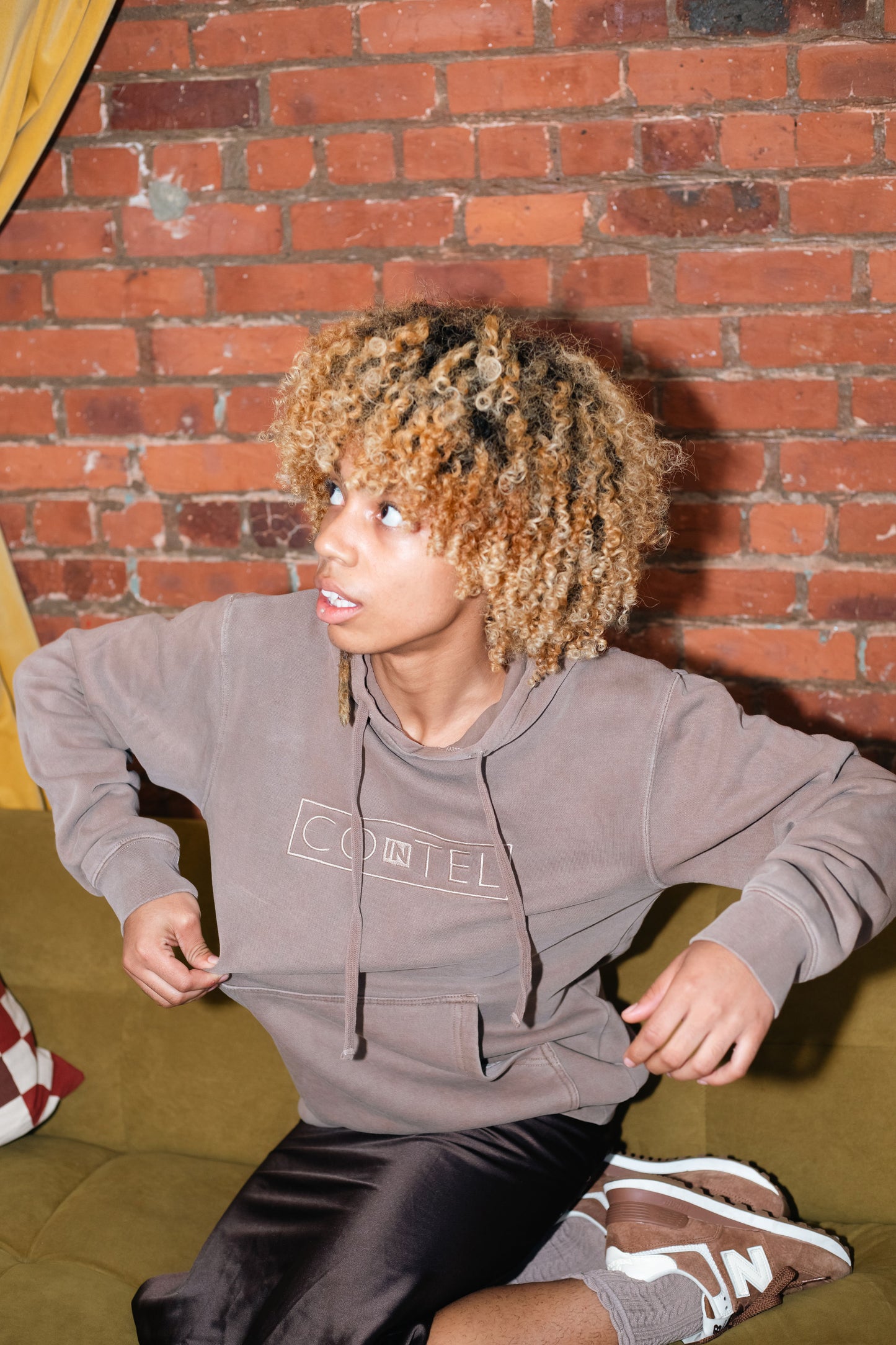 Cointel Classic Hoodie